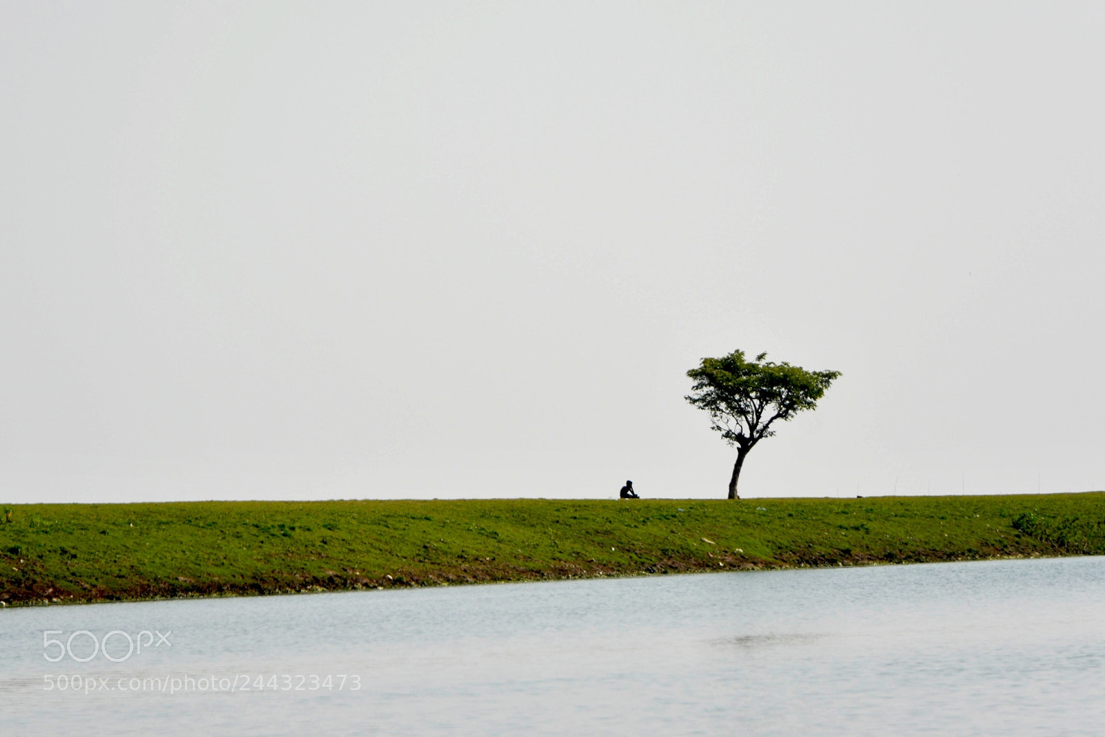 Nikon D7100 sample photo. One photography