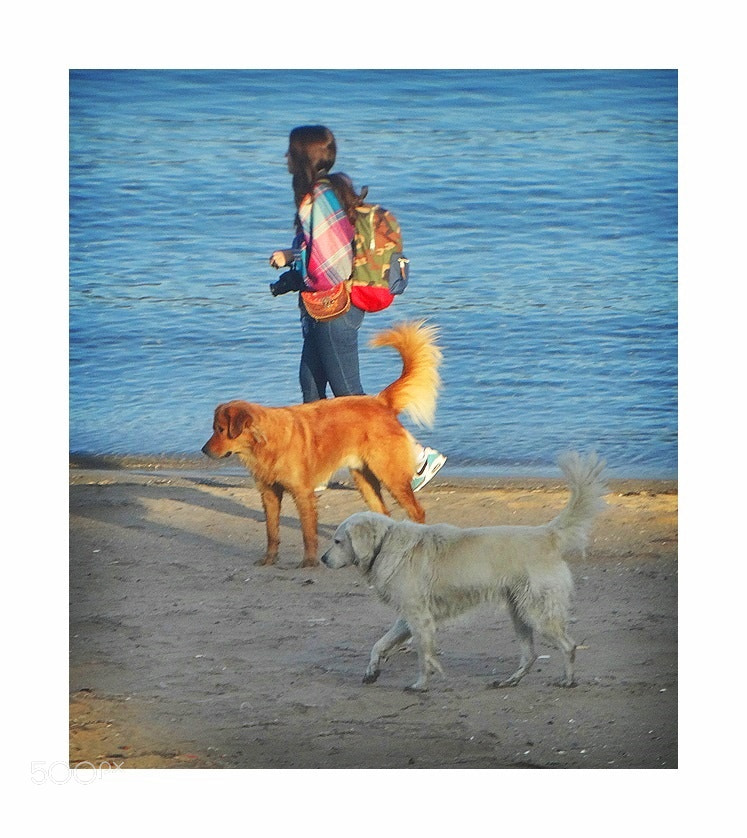 Sony Cyber-shot DSC-HX300 sample photo. ** photography
