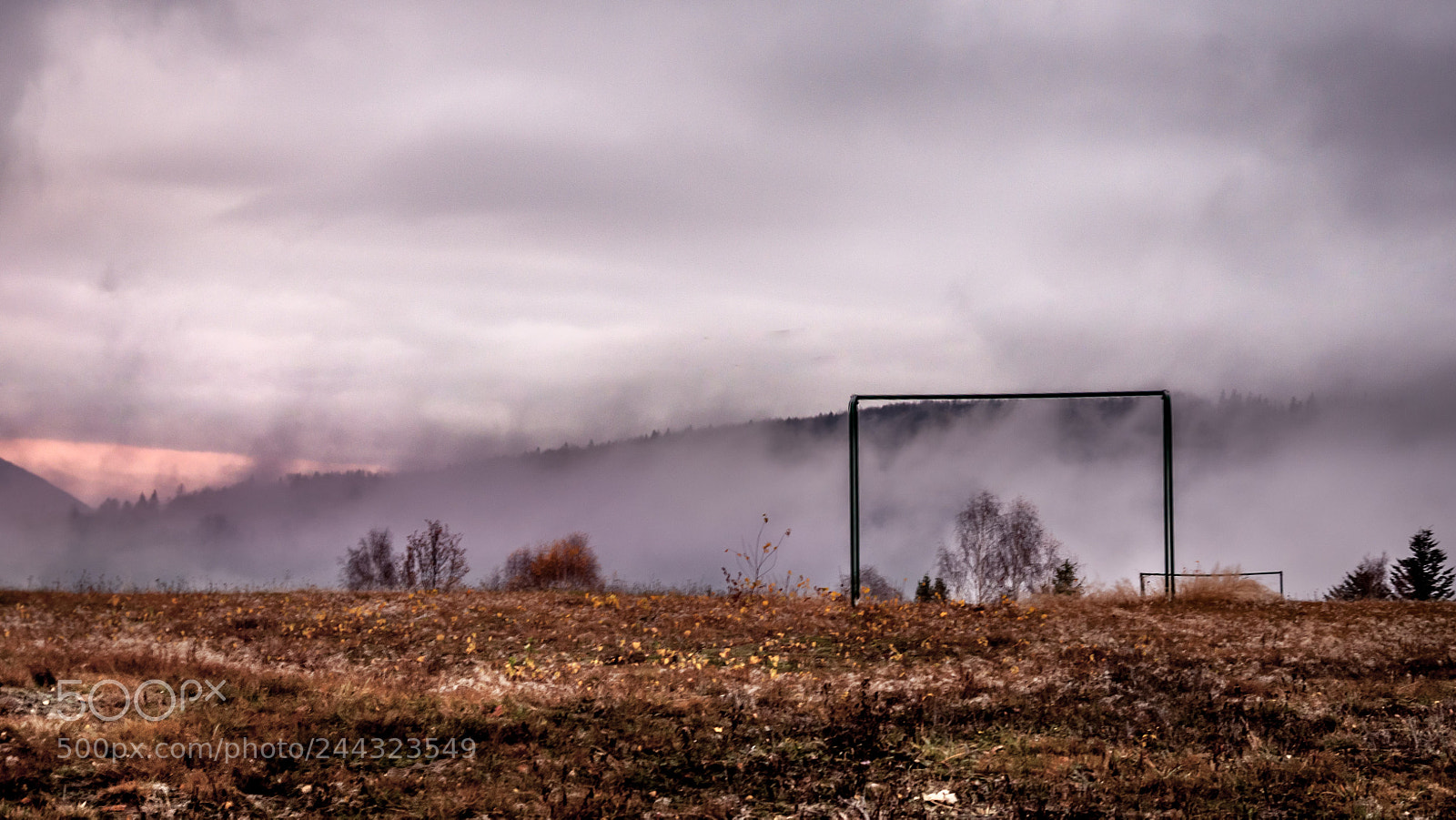 Canon EOS 50D sample photo. Fog photography