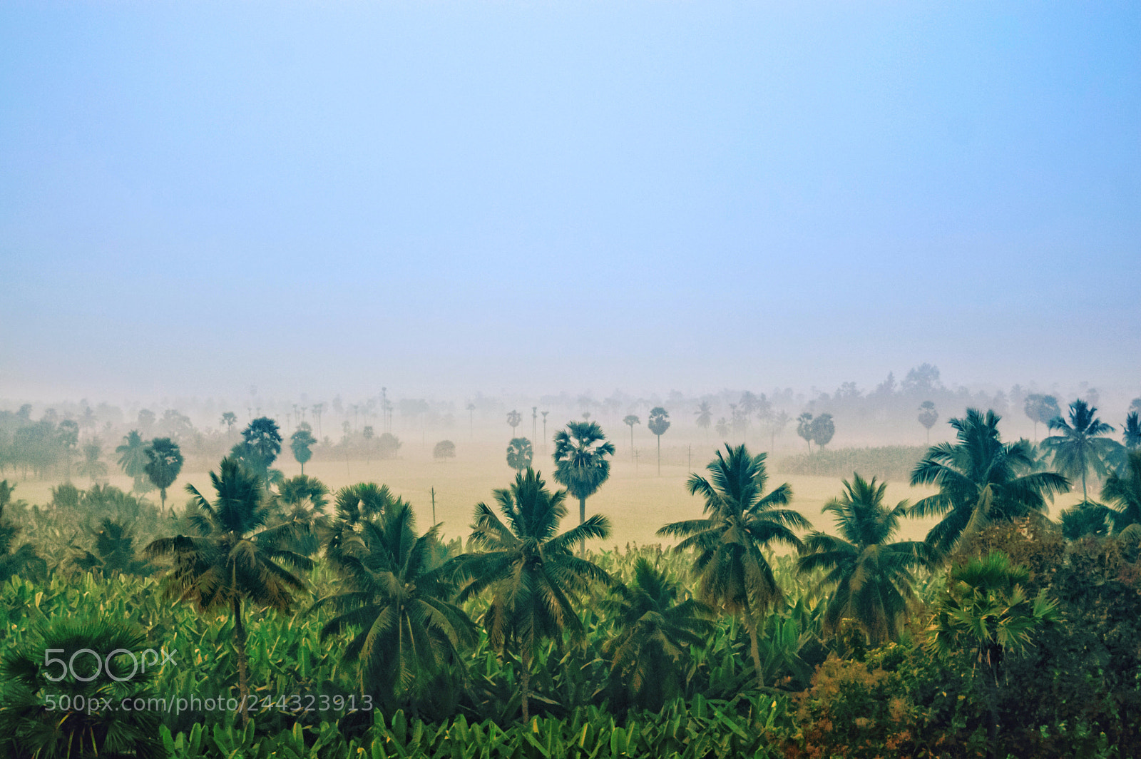 Nikon D3200 sample photo. Morning scenes photography