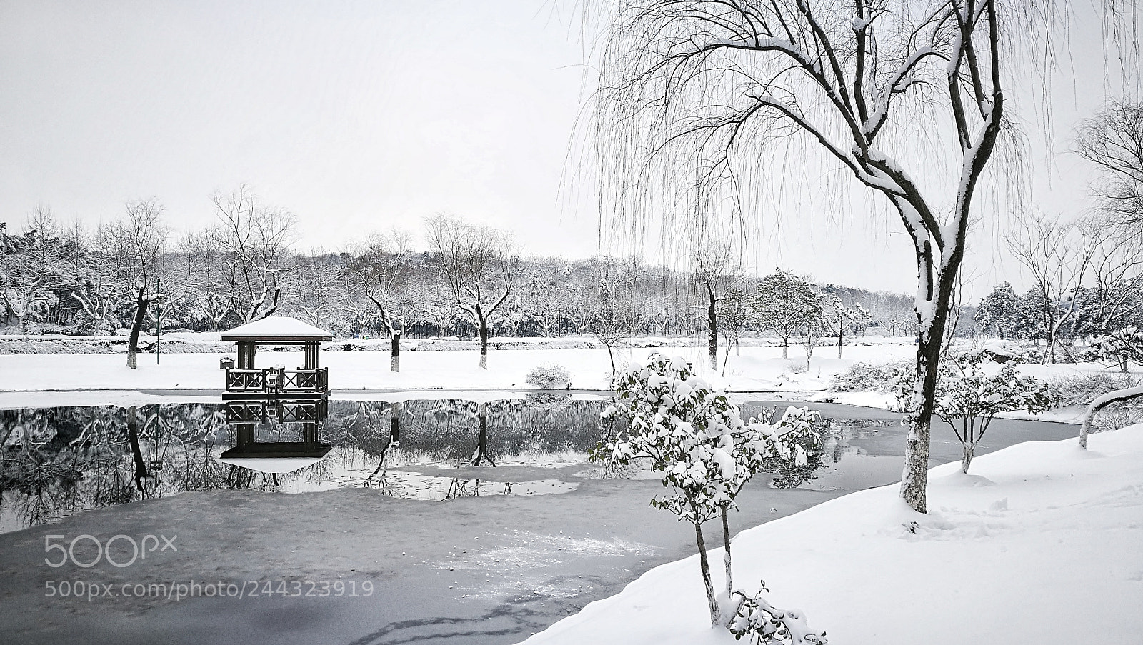 HUAWEI P9 sample photo. 雪景 photography