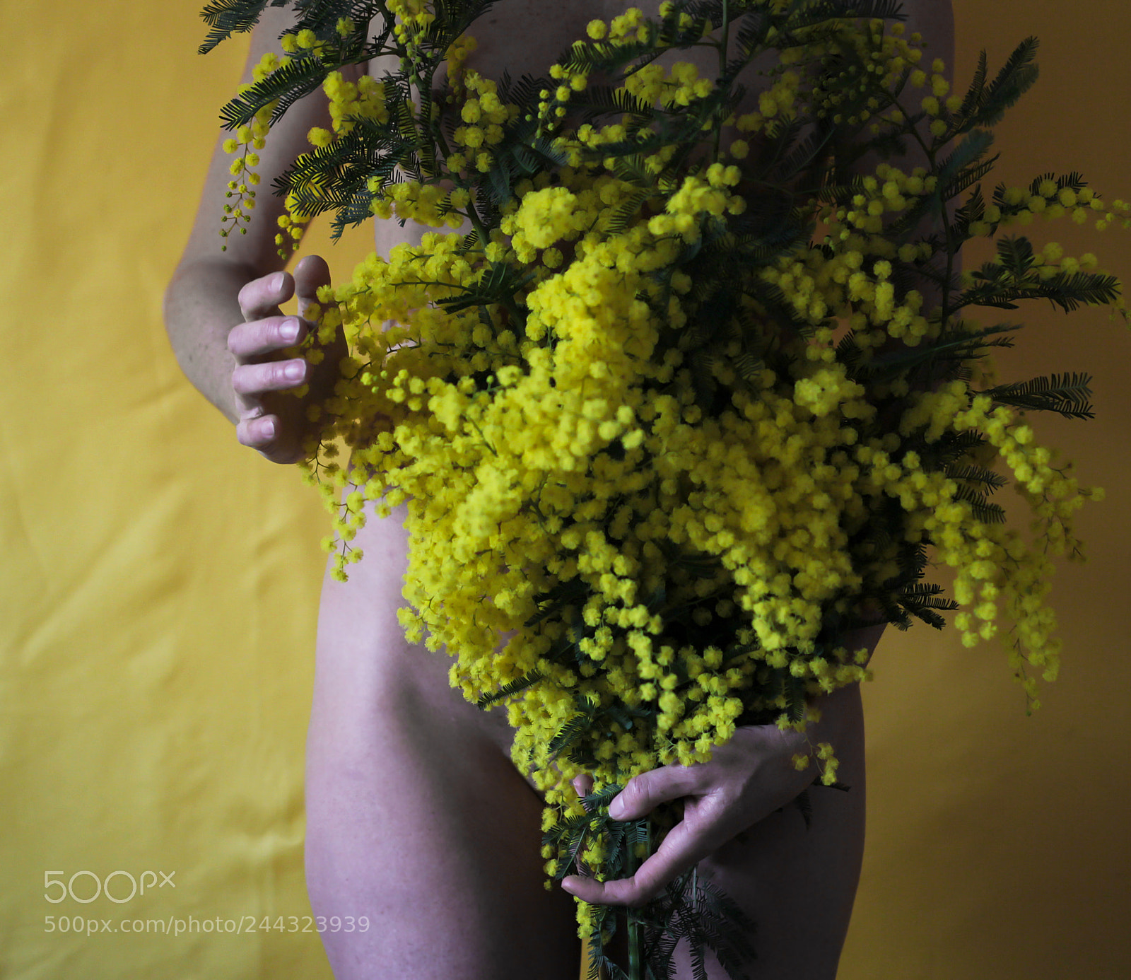 Canon EOS 60D sample photo. Yellow 21/30 photography