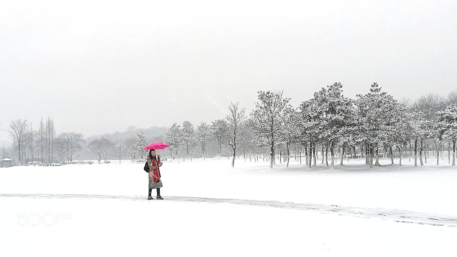 HUAWEI P9 sample photo. 雪中行 photography
