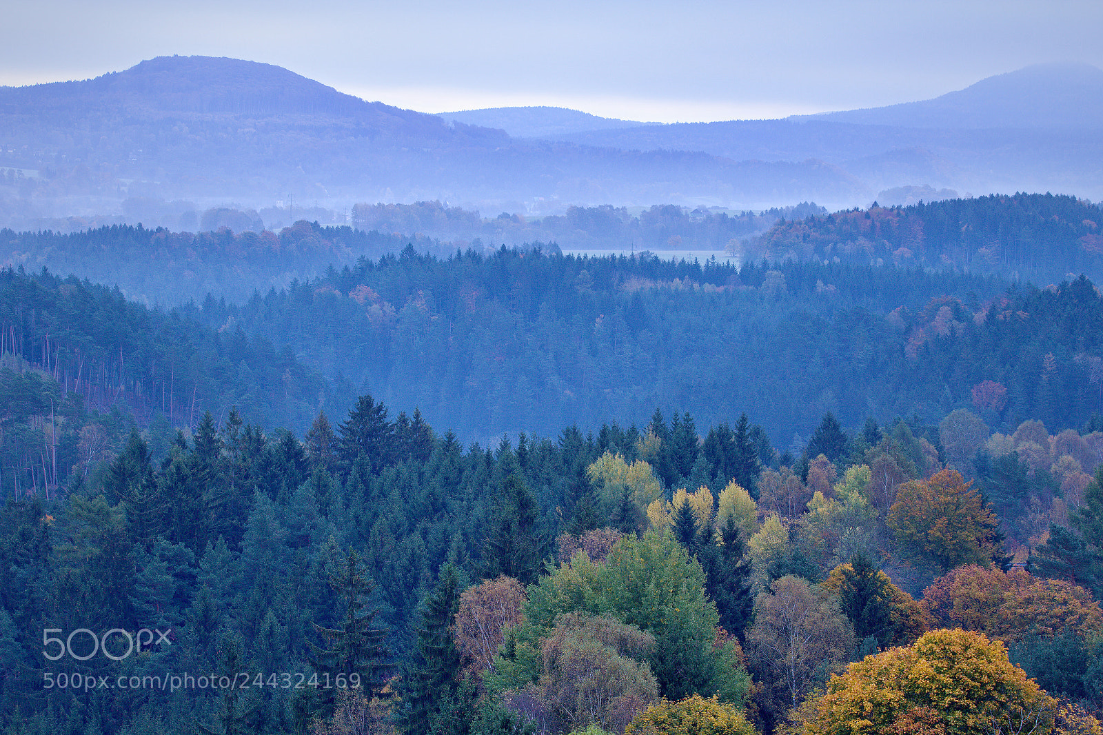 Canon EOS 60D sample photo. Blue morning in the photography