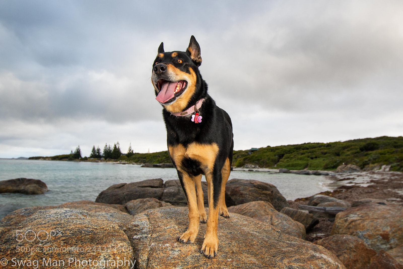 Canon EOS 7D Mark II sample photo. Niko augusta photography