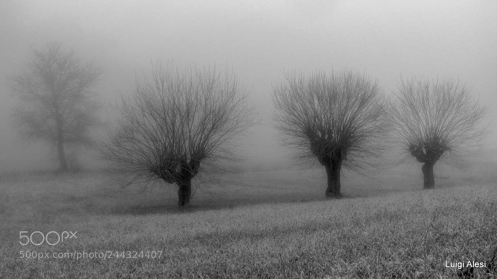 Fujifilm X-M1 sample photo. Foggy photography
