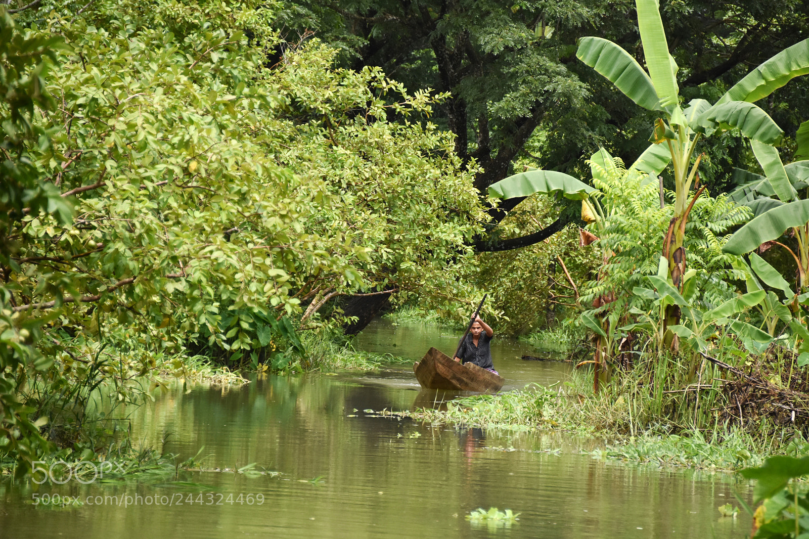 Nikon D7200 sample photo. Natural beauty of bangladesh photography