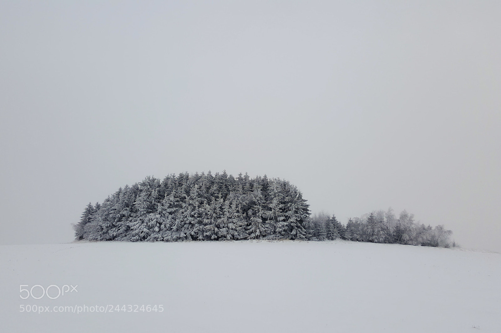 Samsung GALAXY S6 edge sample photo. Winter photography