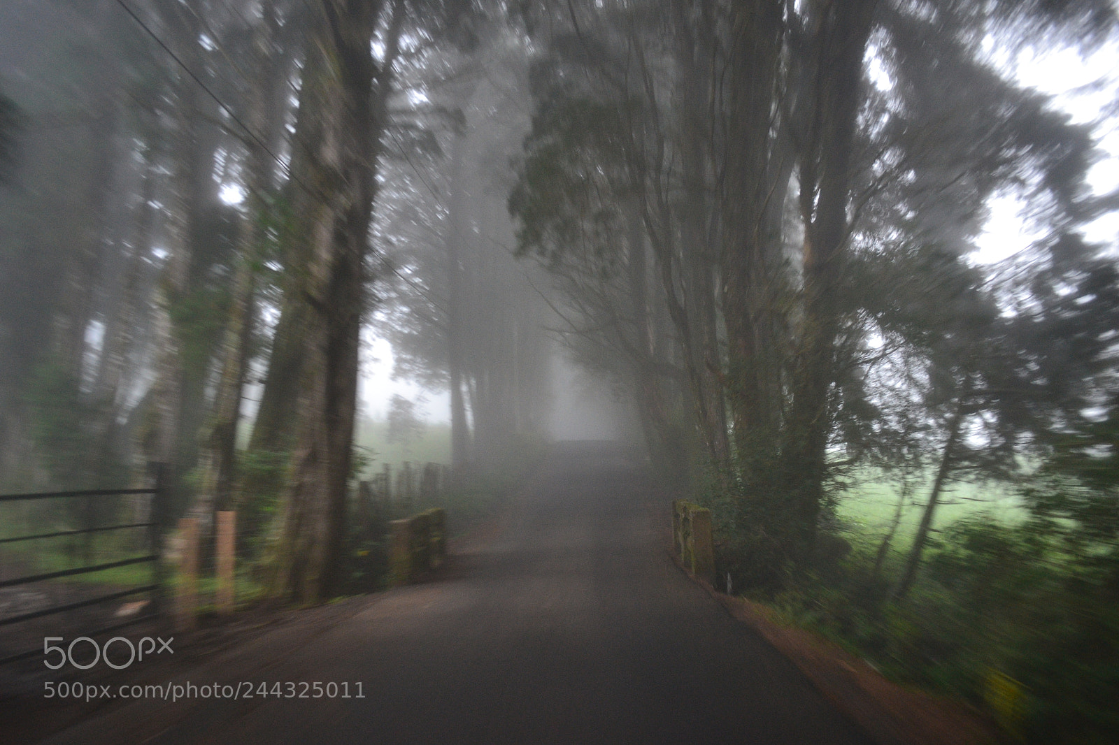 Nikon D3100 sample photo. Cloudy path. photography