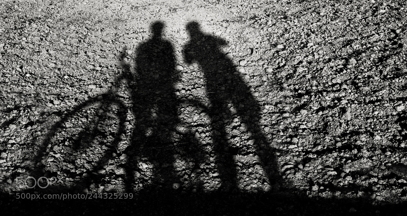 Nikon D90 sample photo. Lights and shadows photography