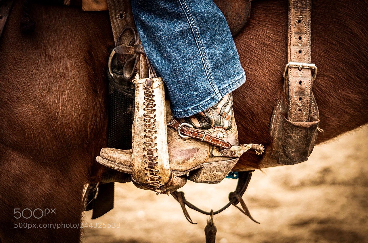 Sony a7R II sample photo. Set in the saddle photography