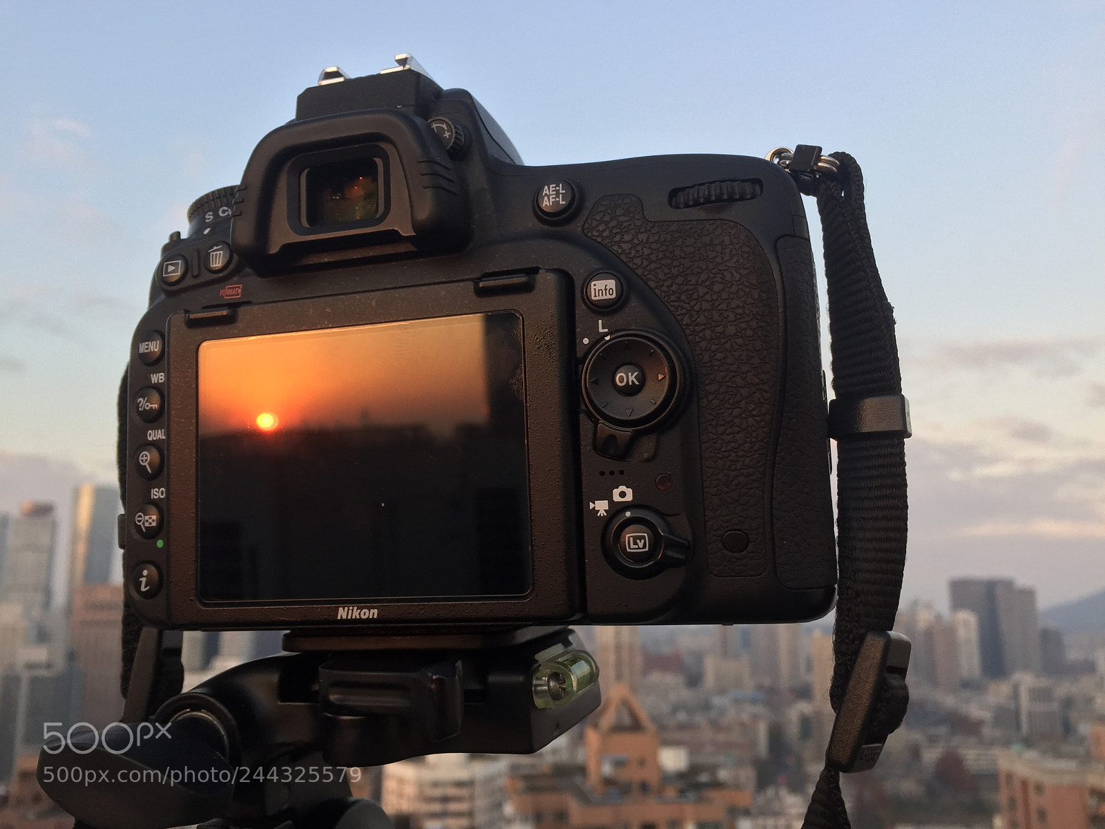 Apple iPhone 6 sample photo. Img photography