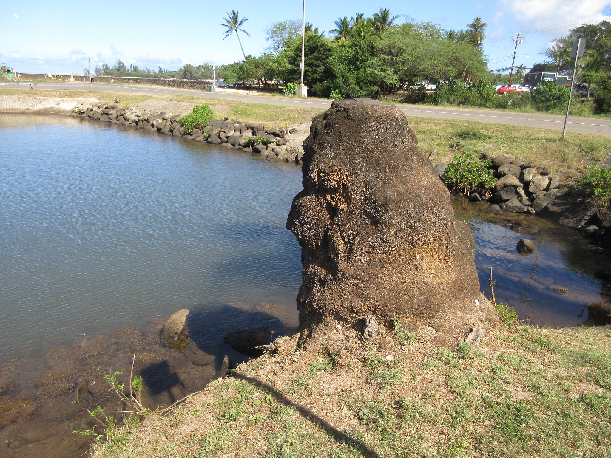 Canon PowerShot ELPH 350 HS (IXUS 275 HS / IXY 640) sample photo. Man by haleiwa?? photography