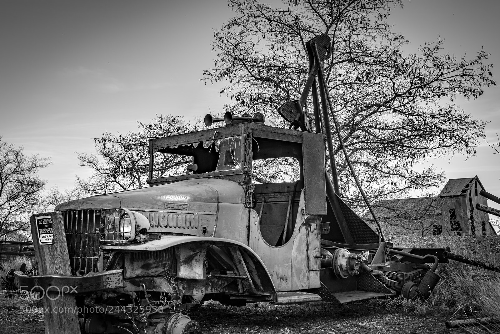 Nikon D810 sample photo. Dodge photography