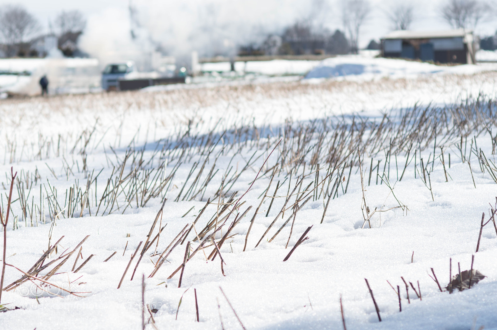 Pentax KP sample photo. Seasoned farm photography