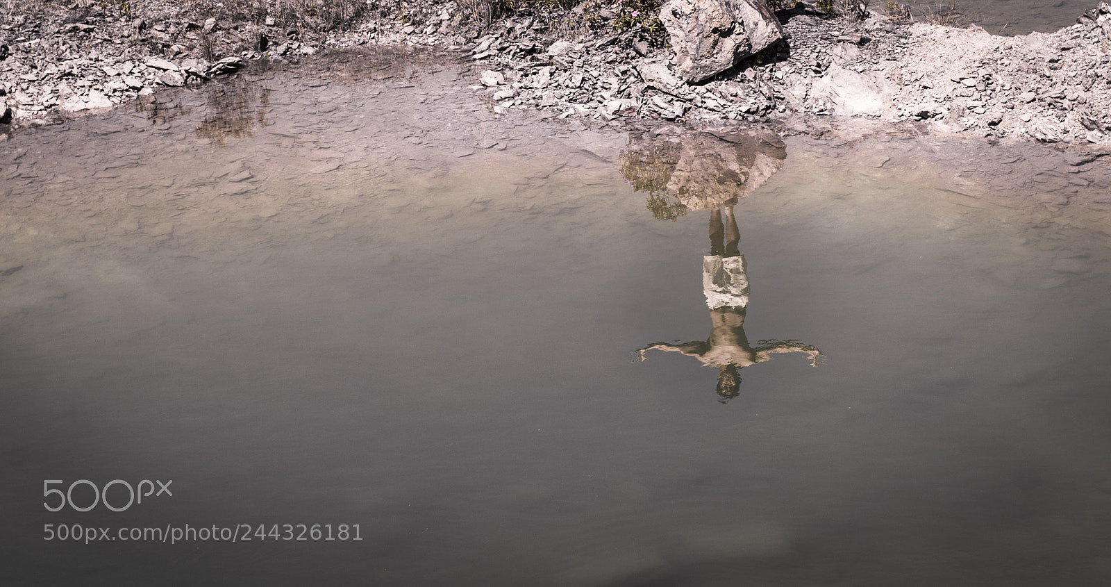 Nikon D4 sample photo. Ignatiuskok photography