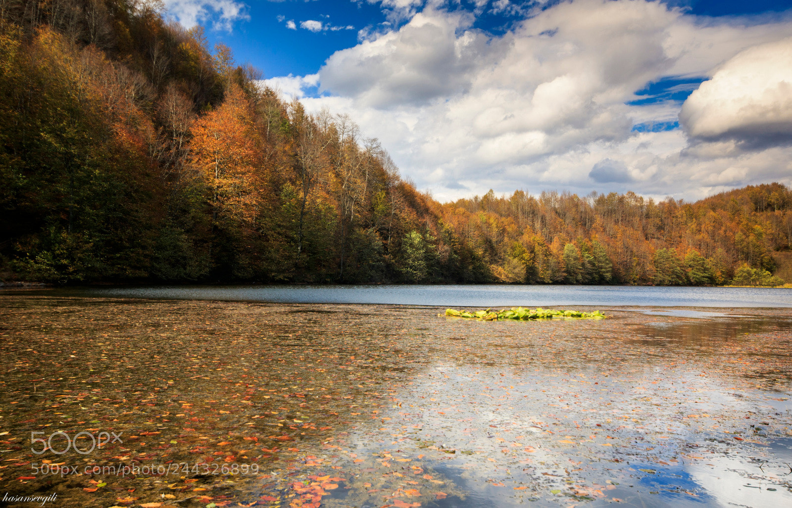 Canon EOS 7D Mark II sample photo. Fall on ulug l photography