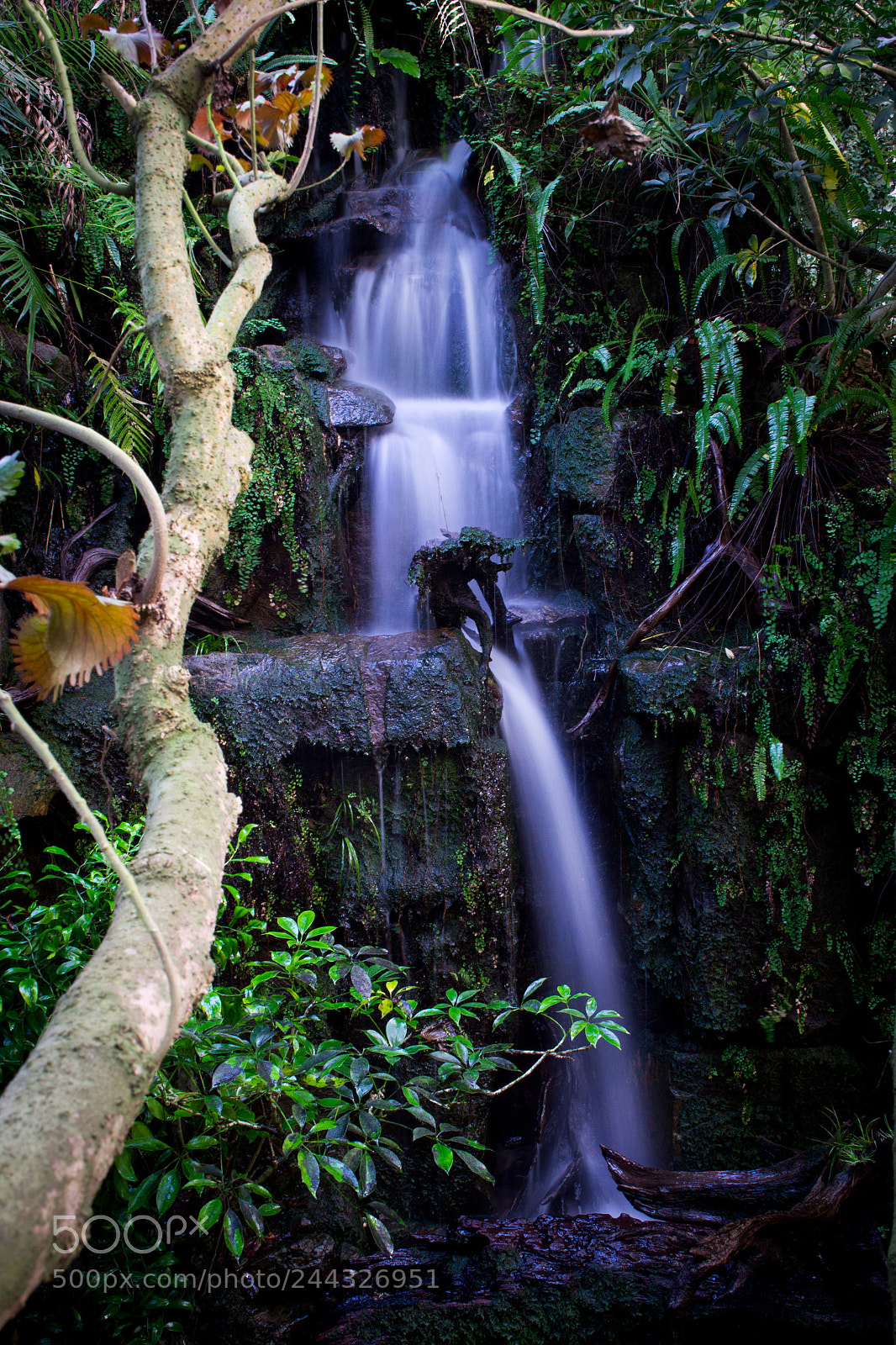 Nikon D3100 sample photo. Waterfall photography
