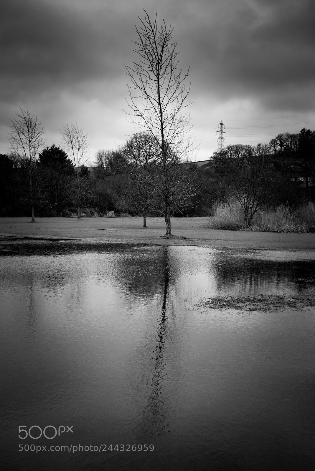Leica M (Typ 240) sample photo. Because of the rain photography