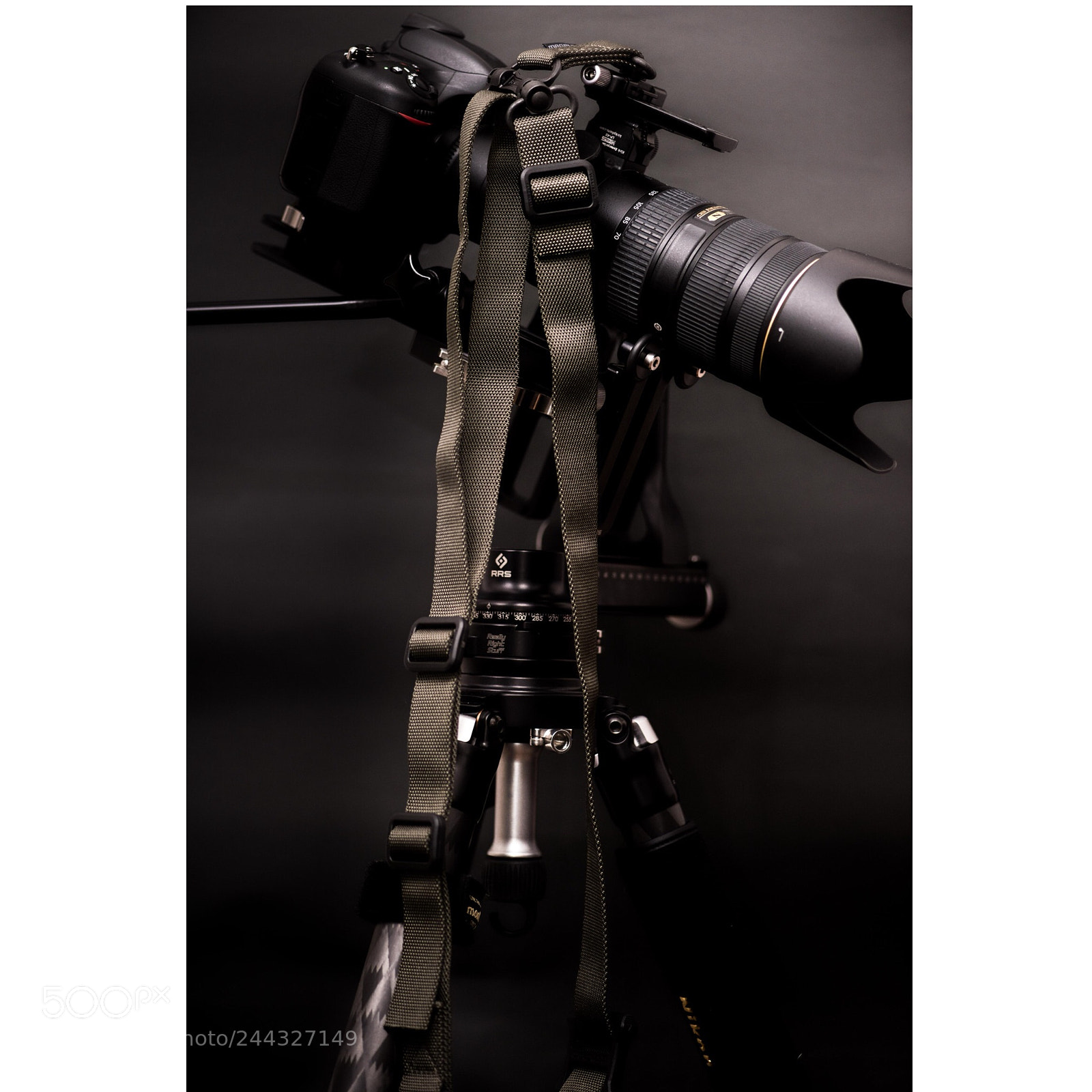 Nikon D810 sample photo. Today's tripod portrait photography