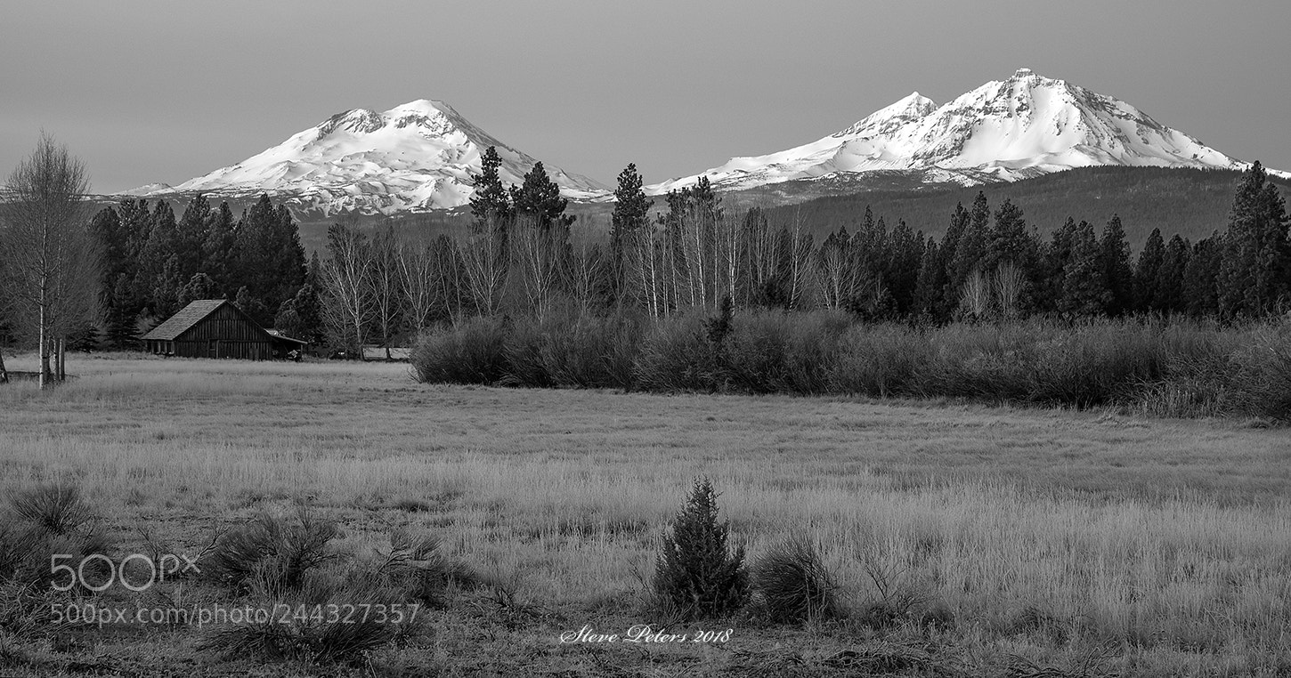 Sony a7 II sample photo. View from a meadow photography