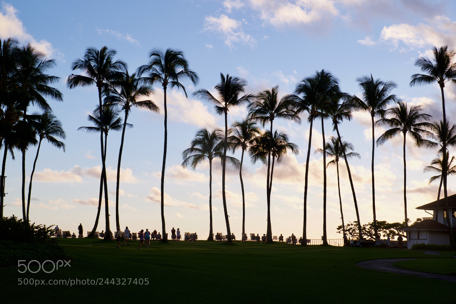 Fujifilm X-T1 sample photo. Sunset gathering photography