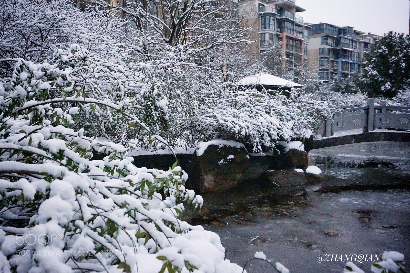 Sony Alpha NEX-5R sample photo. 雪未融 photography