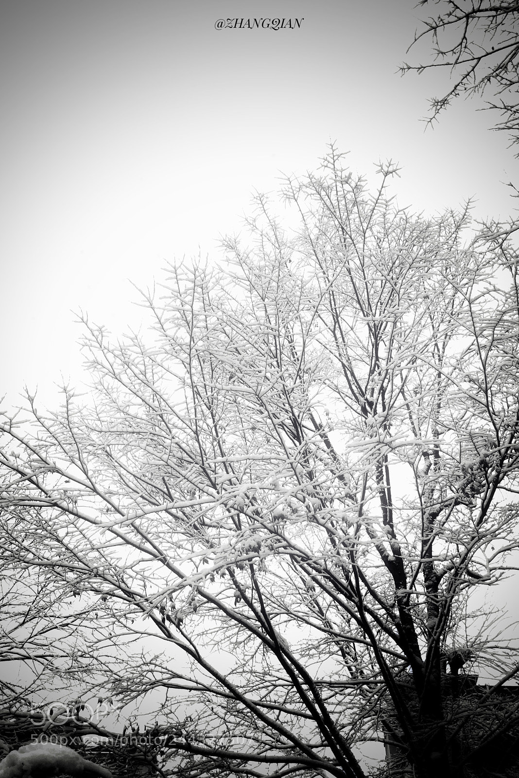 Apple iPhone 6 sample photo. 雪未融 photography