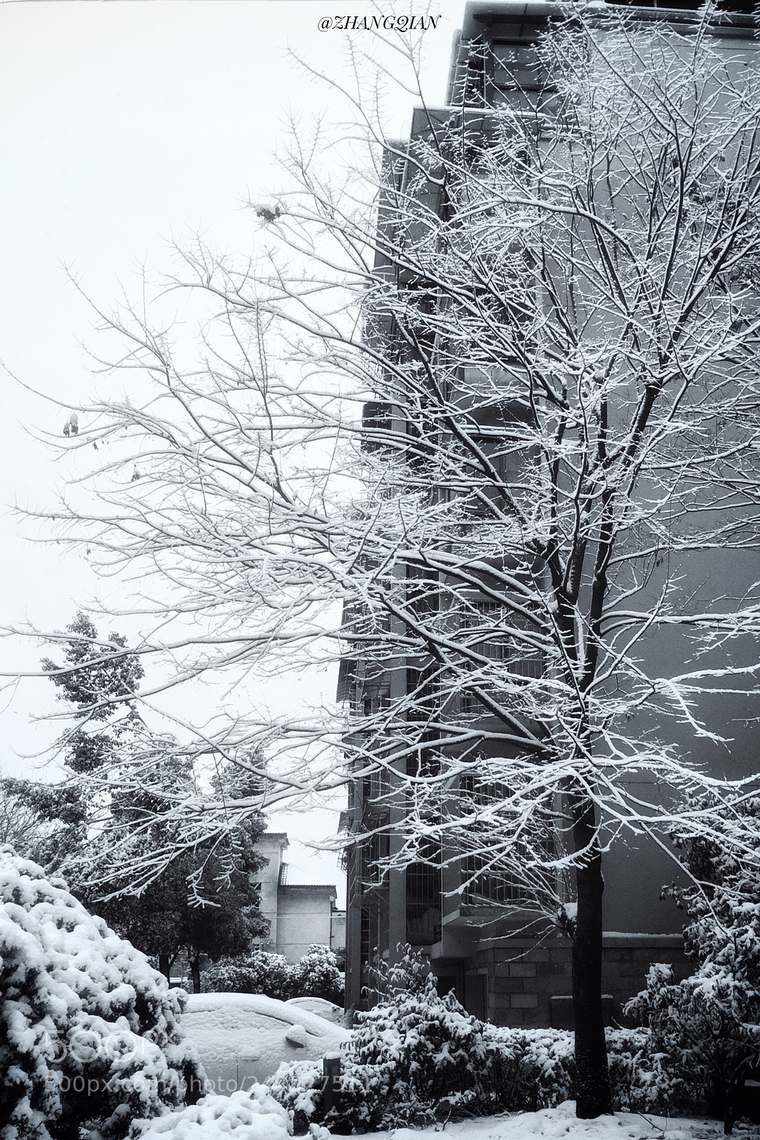 Apple iPhone 6 sample photo. 雪未融 photography