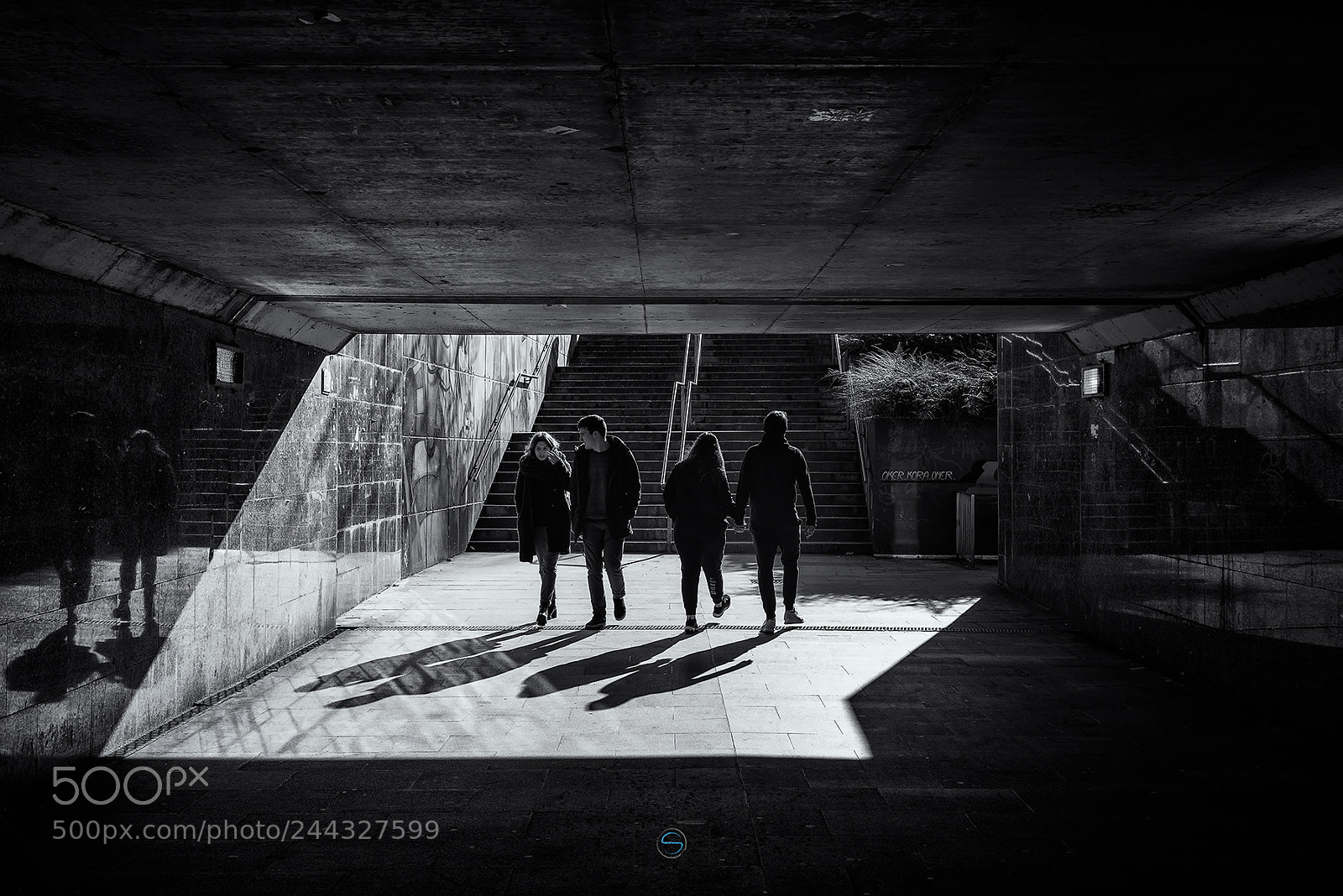 Nikon D610 sample photo. The walking pairs photography