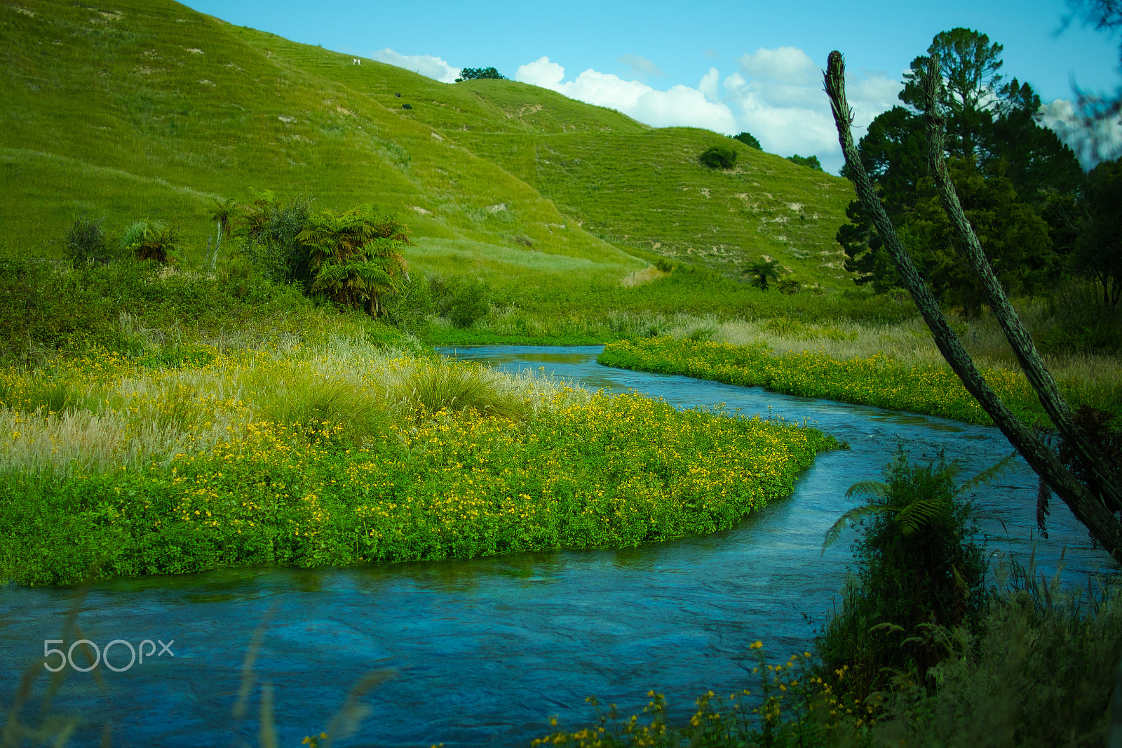 Sigma sd Quattro sample photo. Riverside photography