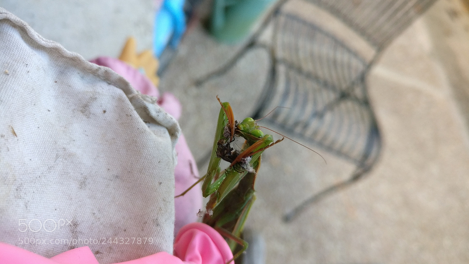 OnePlus A3010 sample photo. Untitled photography