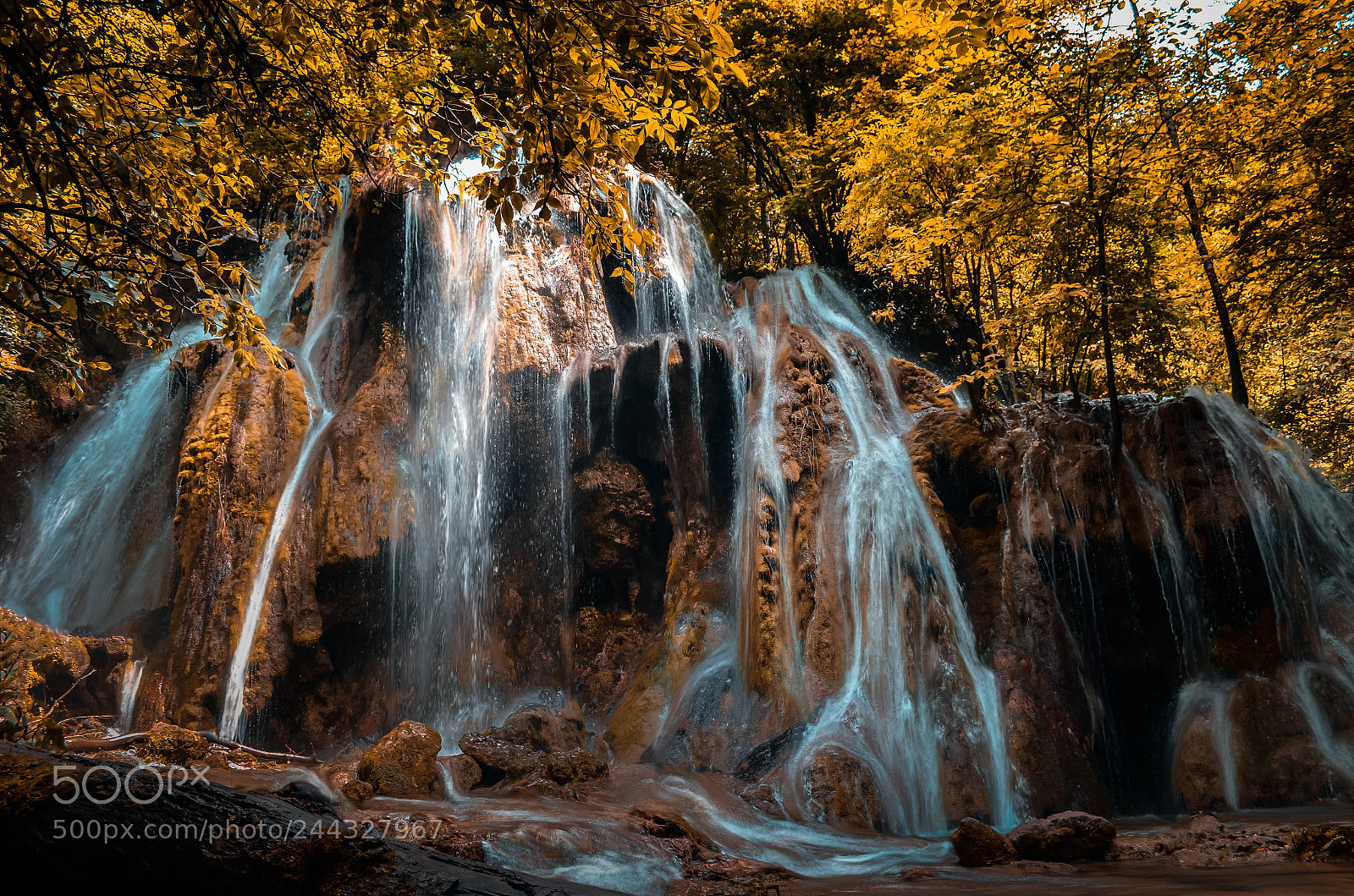 Nikon D5100 sample photo. Beauty fall photography