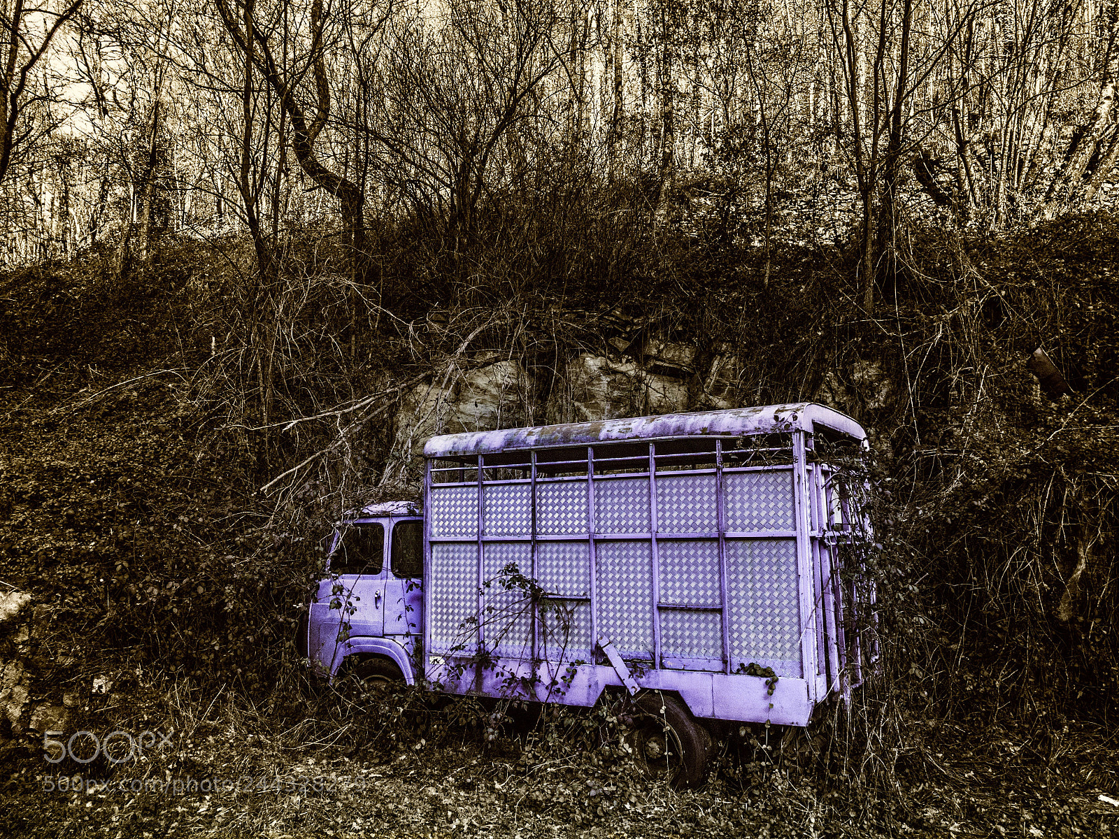 Panasonic Lumix DMC-FZ1000 sample photo. Hidden truck photography