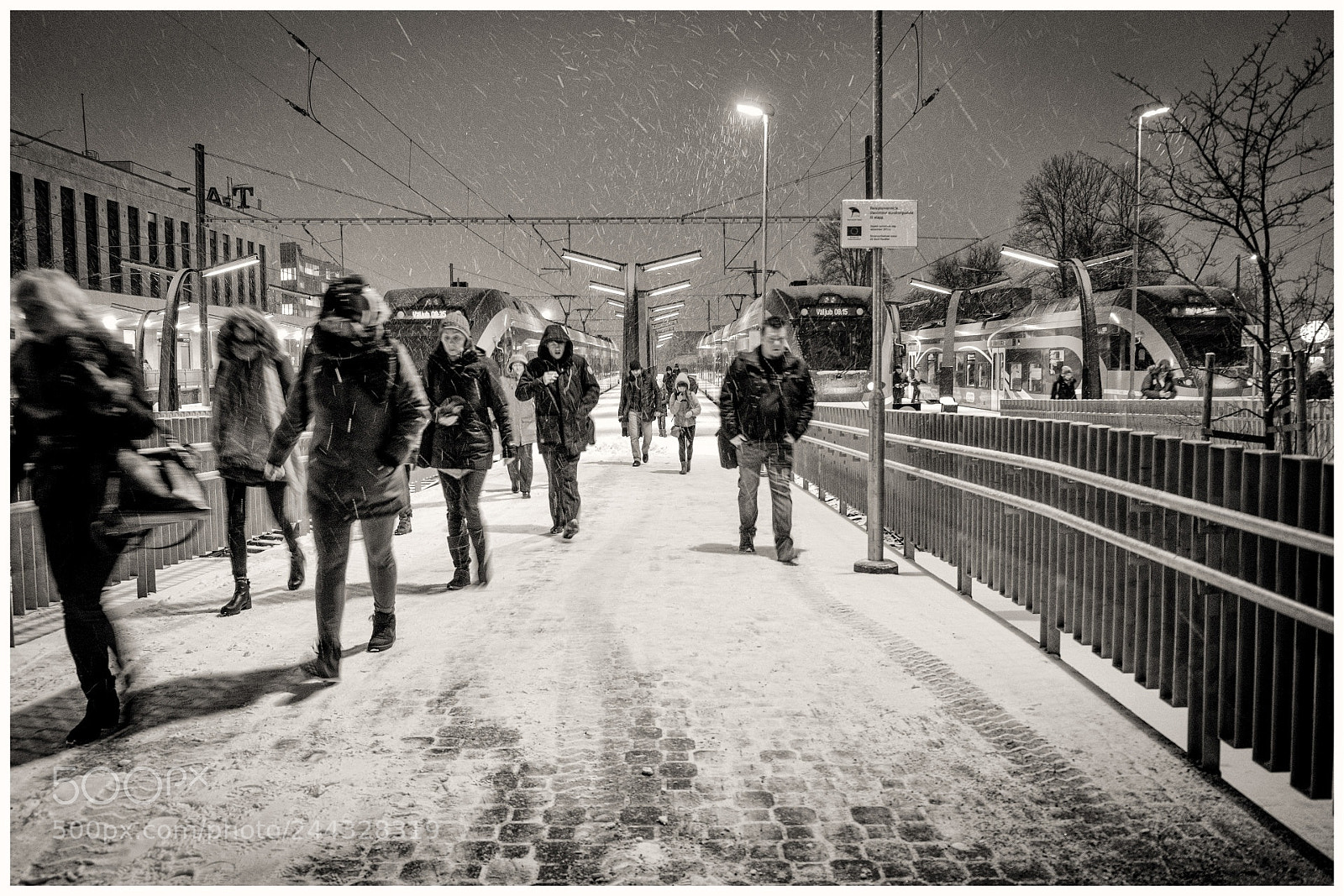 Fujifilm X-T20 sample photo. Morning rush photography