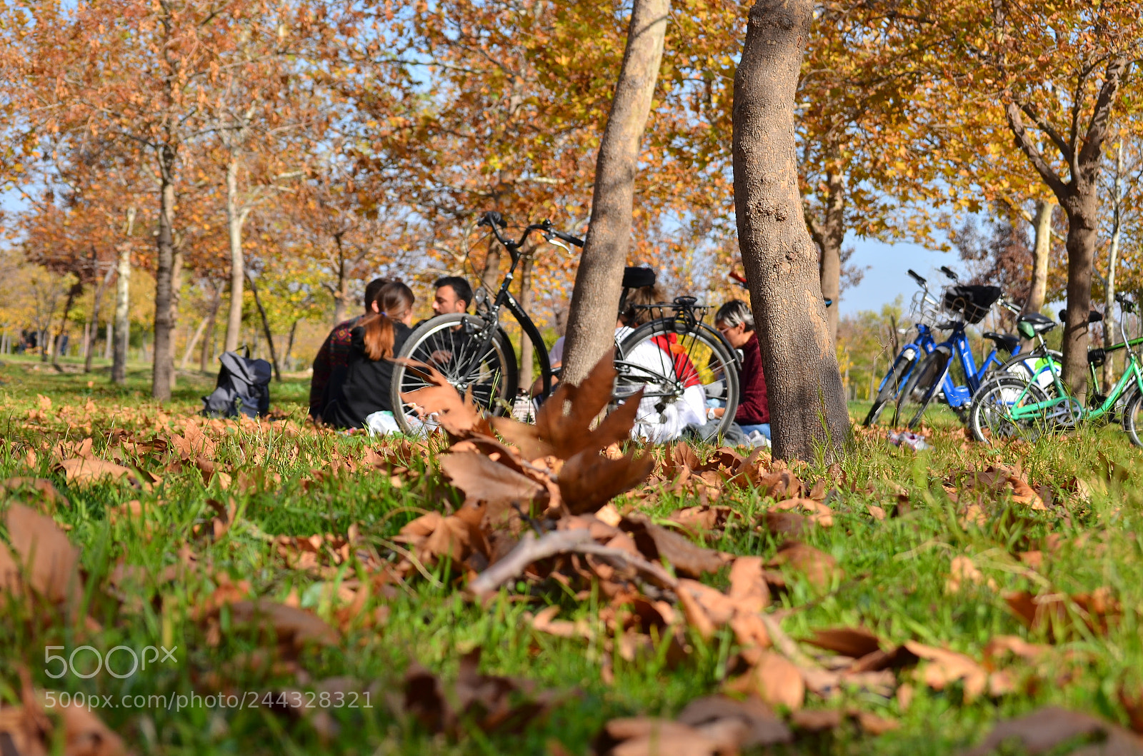 Nikon D5100 sample photo. Untitled photography
