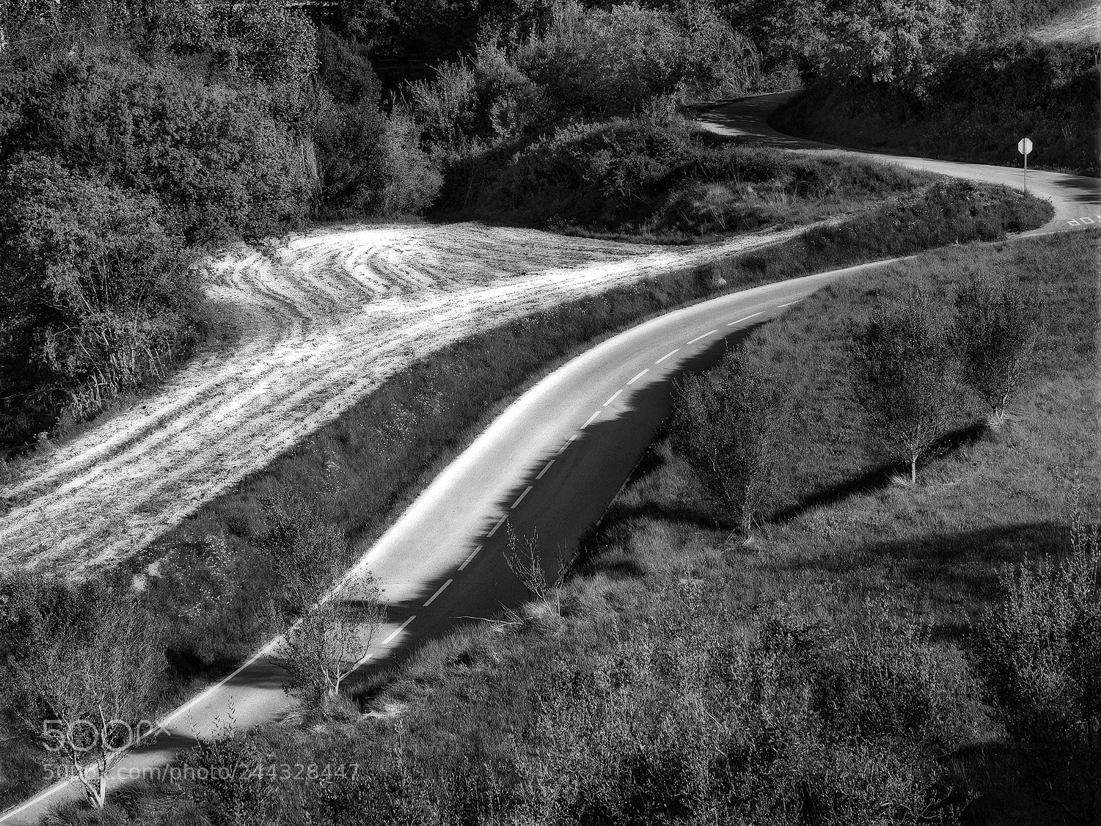 Olympus OM-D E-M5 II sample photo. Curved road (2) photography