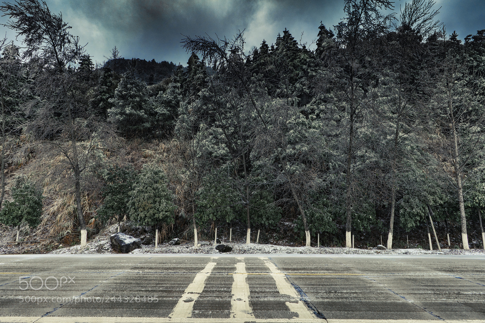 Sony a7R II sample photo. Frozen gray photography