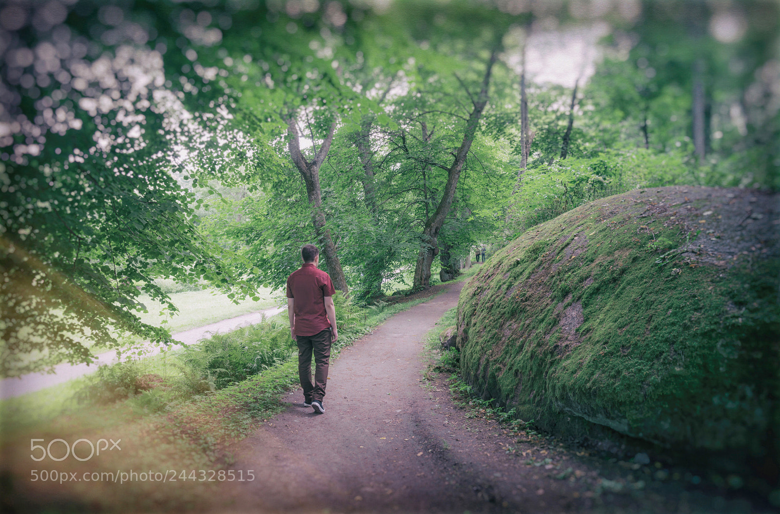 Nikon D610 sample photo. Untitled photography