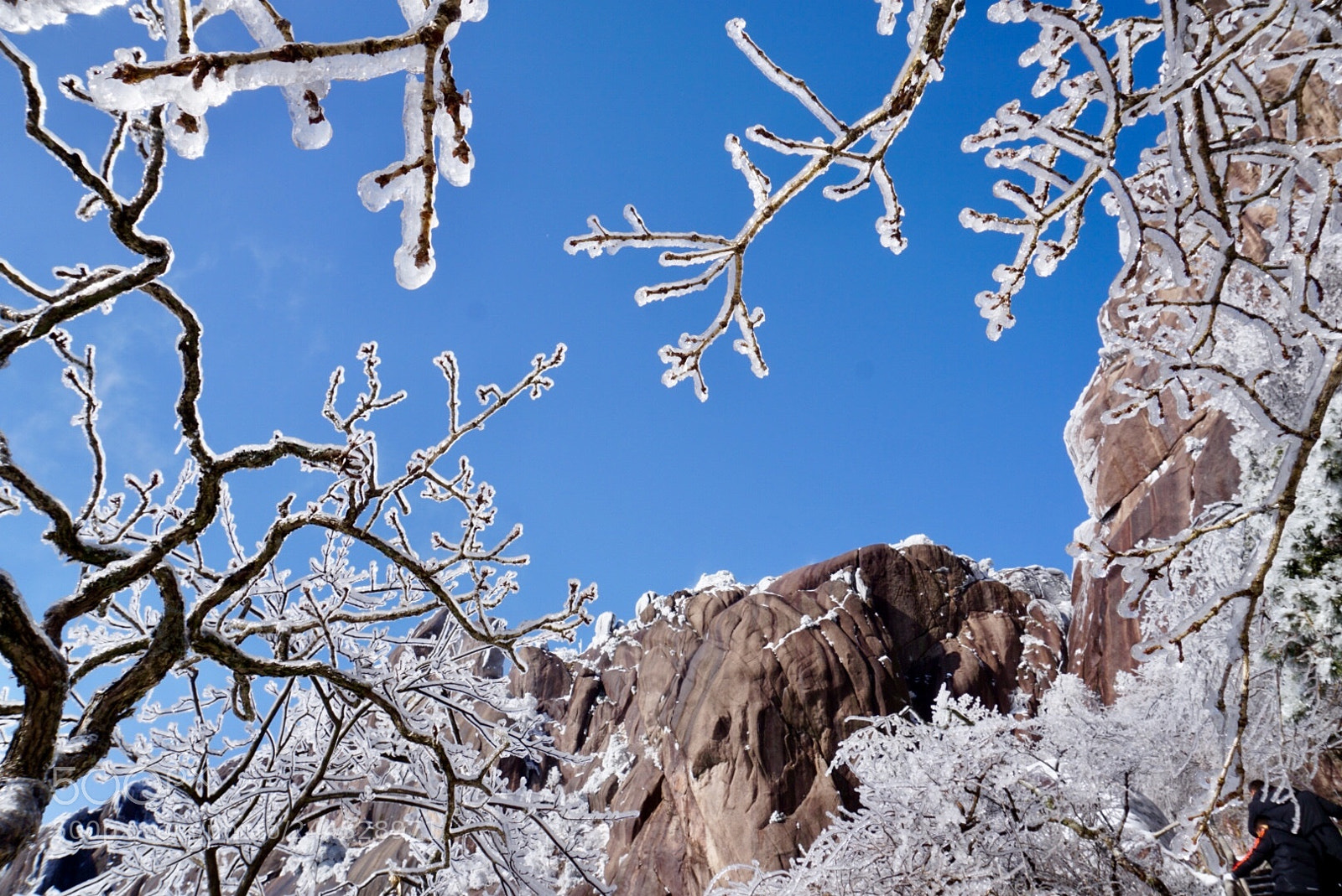 Sony a6300 sample photo. Frozen photography