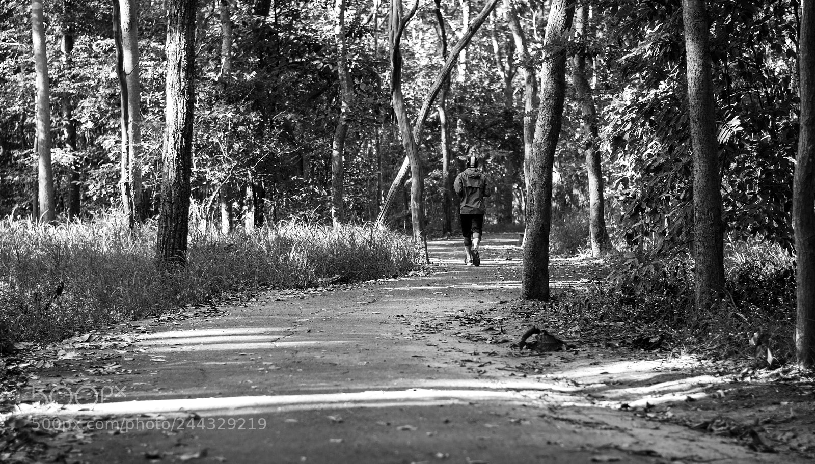 Nikon D3400 sample photo. Trail blazzing photography