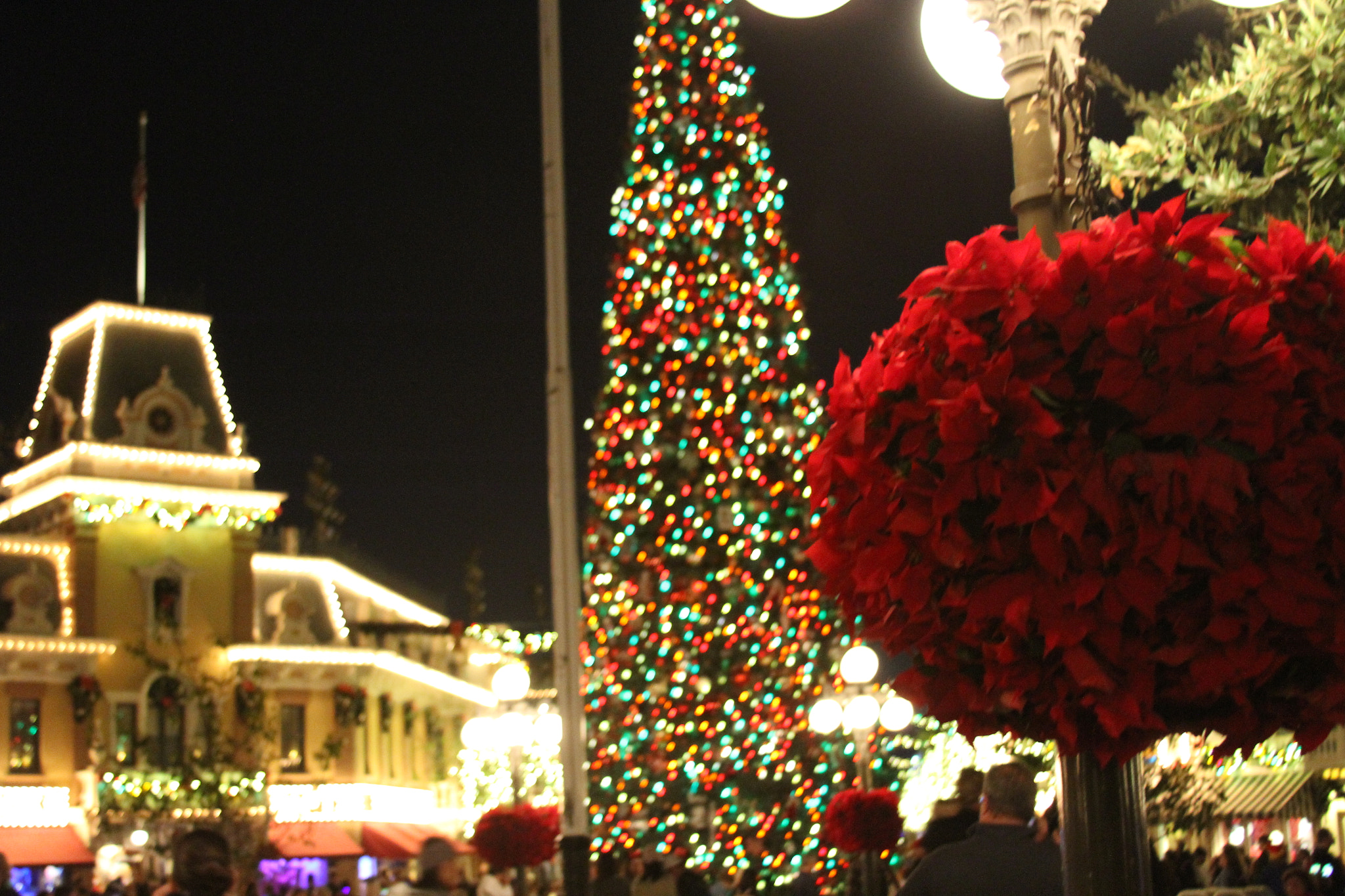 Canon EOS 7D + Canon EF 28-135mm F3.5-5.6 IS USM sample photo. Christmas in disneyland photography