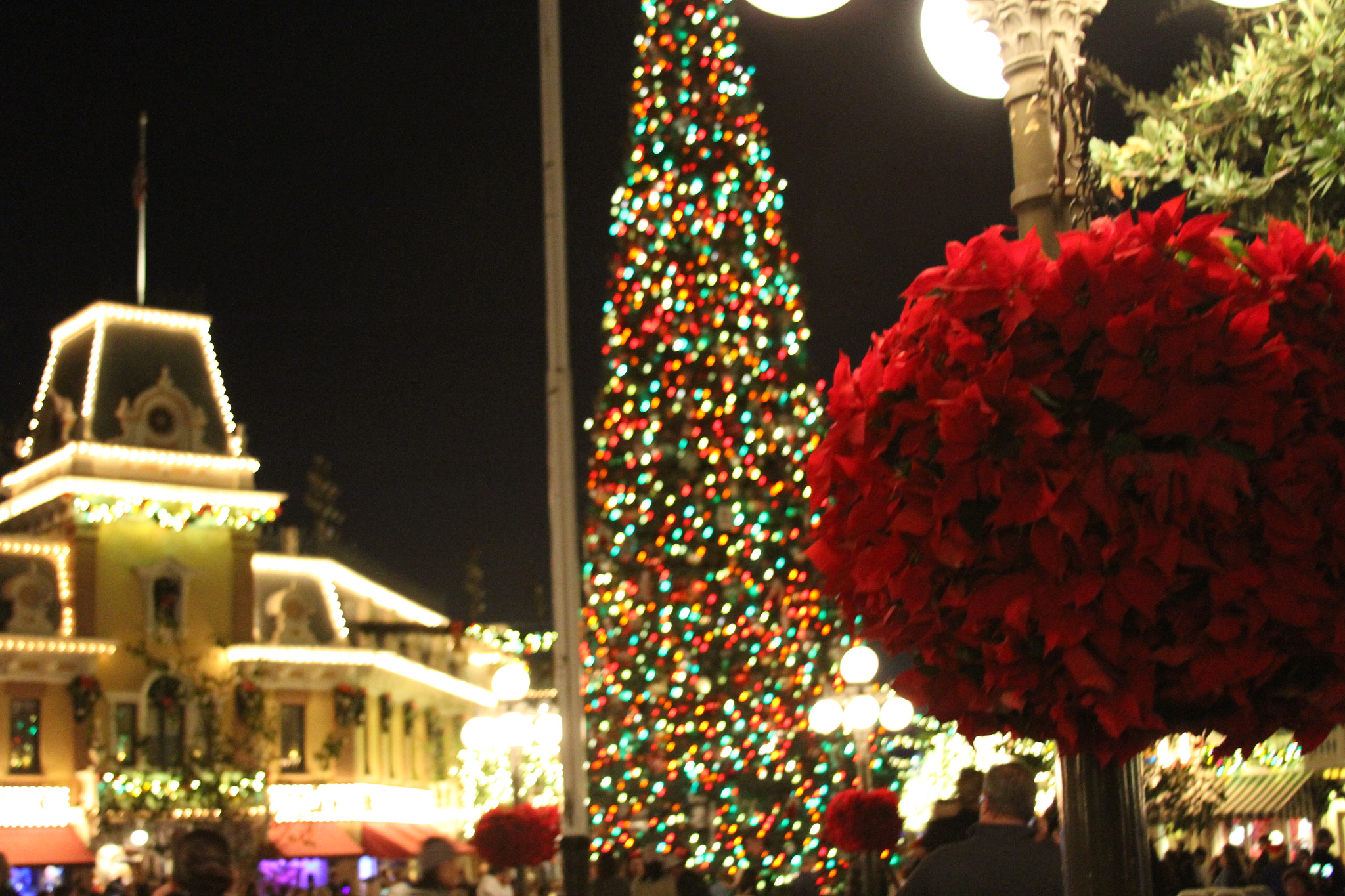 Canon EF 28-135mm F3.5-5.6 IS USM sample photo. Christmas in disneyland photography