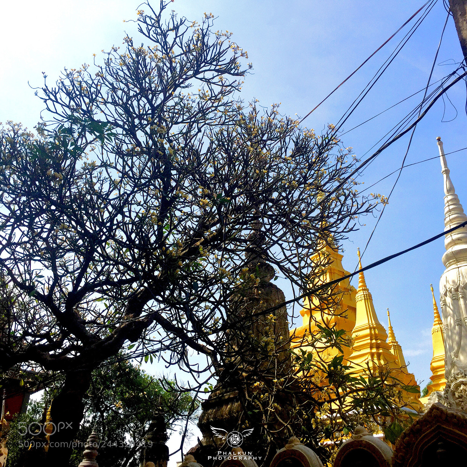 Apple iPhone 6 Plus sample photo. Until we will become photography