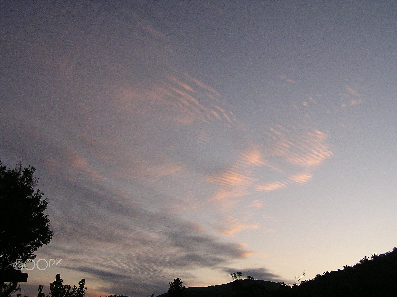 Olympus C740UZ sample photo. Cirrocumulus clouds photography