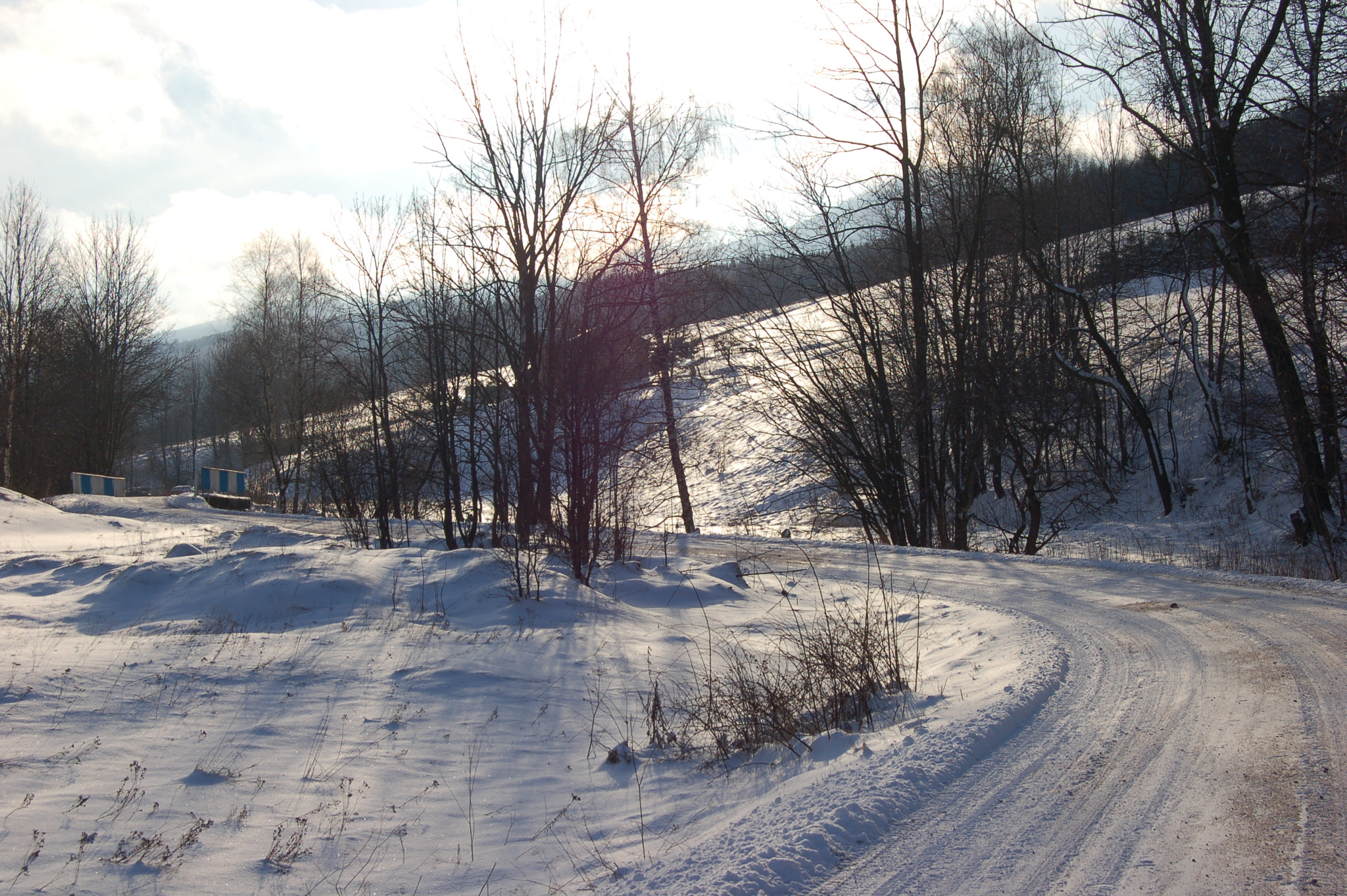 Nikon D50 sample photo. Winter road photography