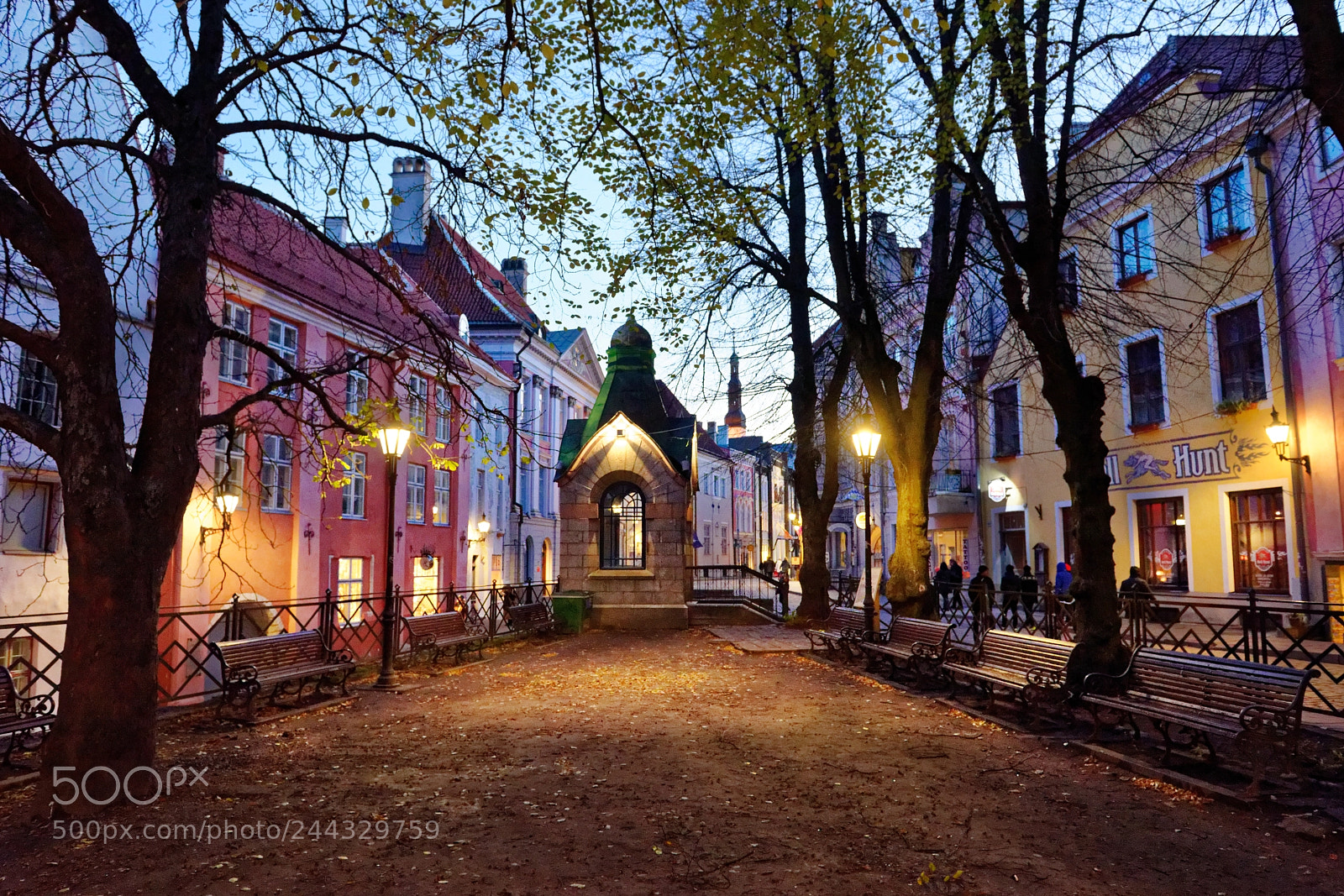 Nikon D810 sample photo. Blue hour in tallinn photography