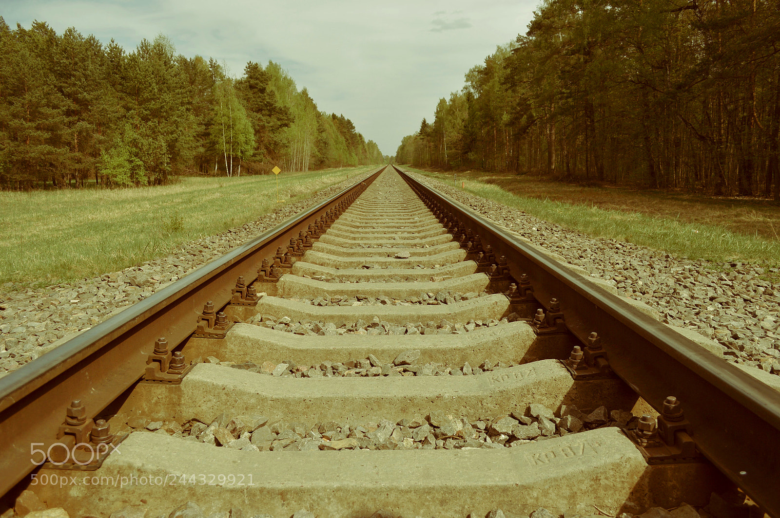 Nikon D3200 sample photo. A railroad disappearing in photography