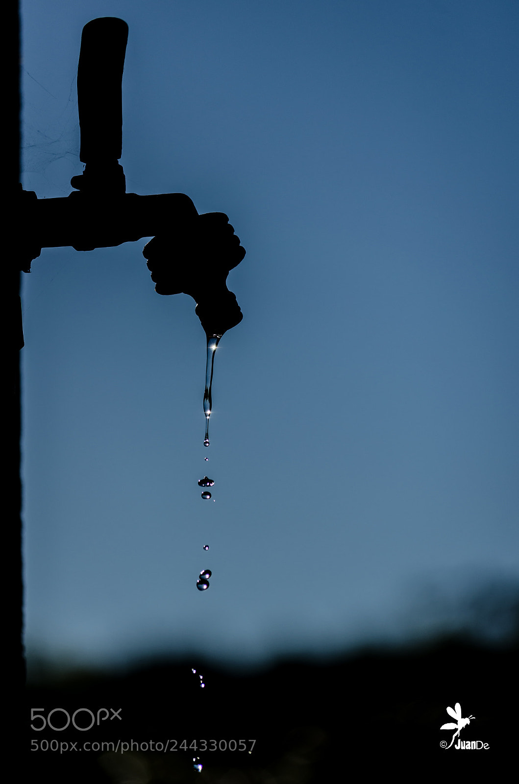 Nikon D5100 sample photo. Buenos d as. gota photography