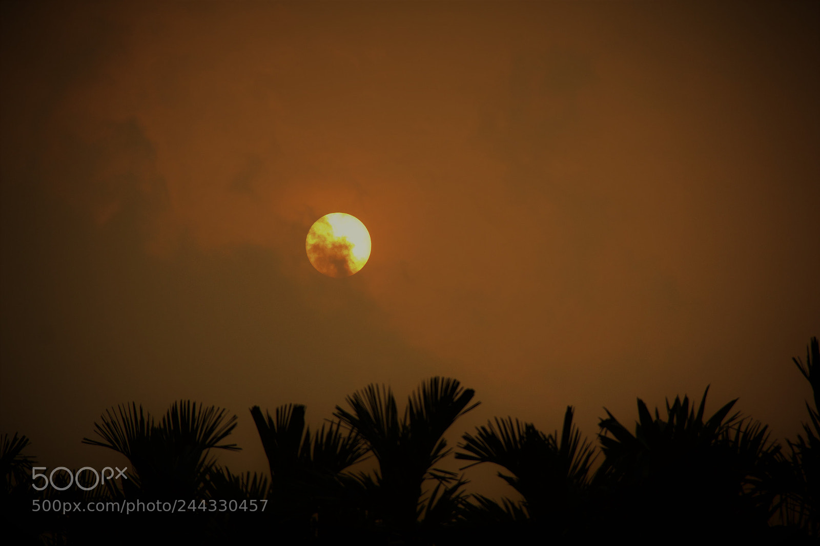 Canon EOS 60D sample photo. Dusk photography